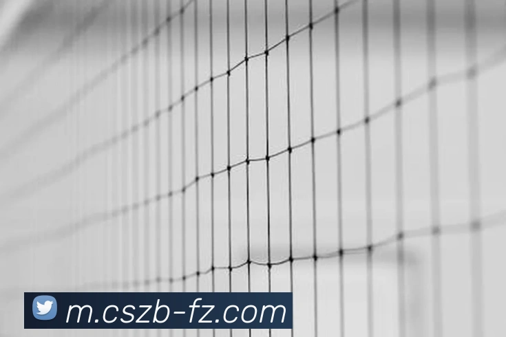 彩神争霸品牌故事